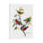 Painted Bunting by John Audubon - Painting on Canvas-1527762852-1534986137
