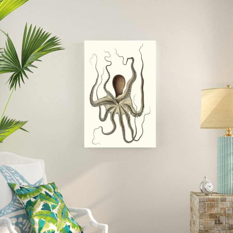 Collection Antique Octopus I, H 36 po x l 24 po