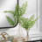  Country Ferns Set/2
