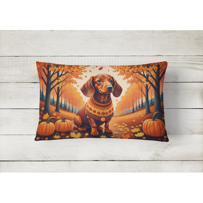 Other/No Pattern Outdoor Throw Pillow