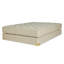 Classic 9.5'' Medium Latex Mattress and Box Spring Set-61835269
