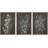 Black Gray Floral & Botanical Neutral Decor Minimalist Framed On Canvas 3 Pieces Print Wall Art-91875287-91875284