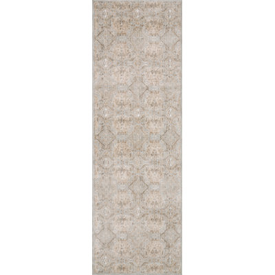 Amber Lewis x Loloi Zuma Silver / Multi Area Rug