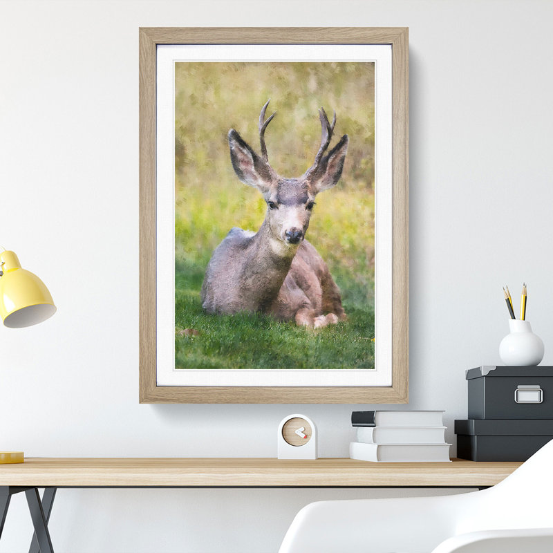 A Resting Deer - Picture Frame Painting, 65cm H x 48cm W x 2cm D, Oak Framed