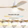 Jazyra 52'' Ceiling Fan with LED Lights