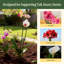 Piquets de soutien pour plantes de jardin Loop Style