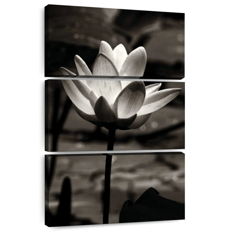 Harnek Lotus Flower III, 32" H x 20" W