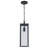 Iddings Outdoor Hanging Lantern-2143028529