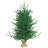 36' Pine Christmas Tree
