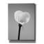 «Calla No. 2» par PhotoINC Studio-1319806672