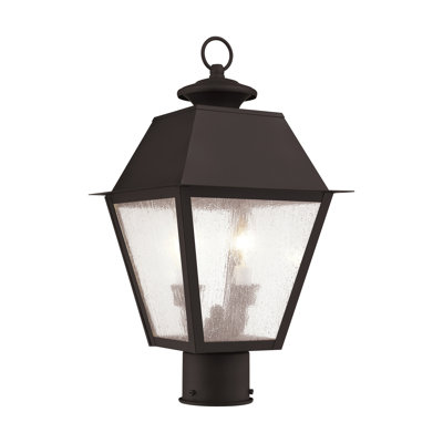 Tête de lanterne câblée à 1 lumière H 17,5 po Fraida