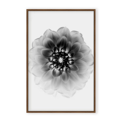 X-Ray Print by Alex Zhao