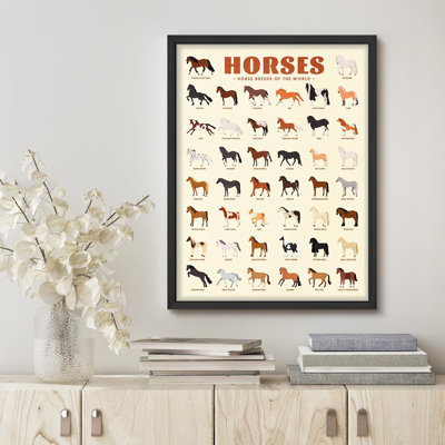 " Global Horse Breeds Educational Poster - Illustrated Guide To Horse Varieties Worldwide Colorful "