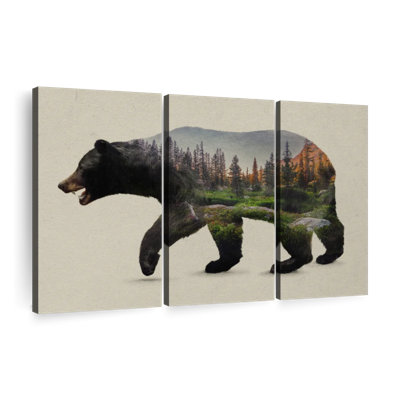 «The North American Black Bear», 3 pièces