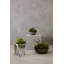 36cm Faux Succulent Plant in Stone Planter