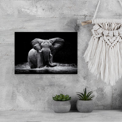 «Majestic Elephant In Water», art mural contemporain