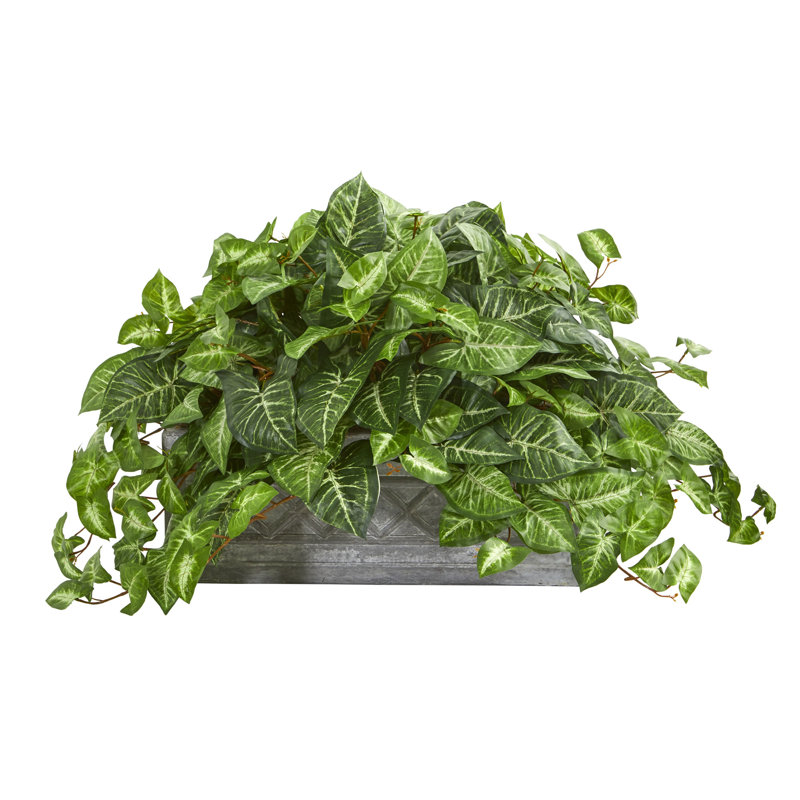 Plante à feuillage artificiel 11 "en pot