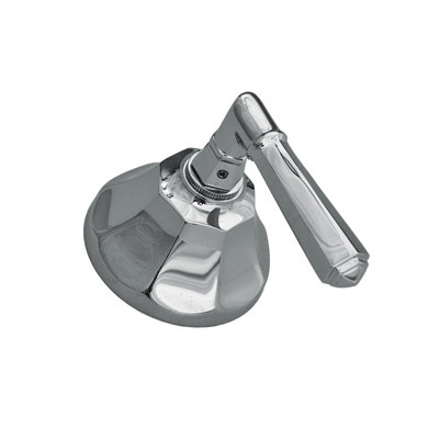 Mississippi Shower Control Set with Lever Handle and Solid Brass by Strom Living