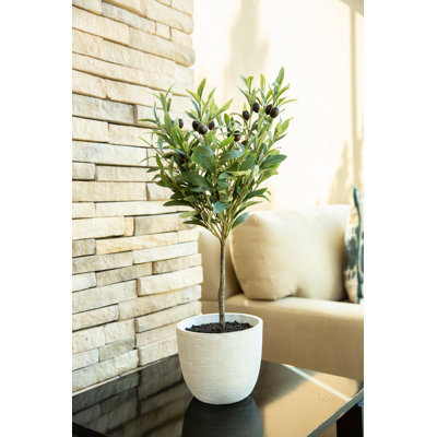 28'' Faux Olive Tree Tree in Pot