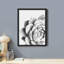 «Succulent Cactus Black and White Rosebud Gros plan» sur papier-98266623-98266625