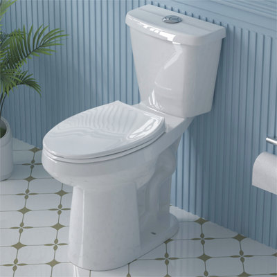 21" Extra Tall Two-Piece Toilet 1.1/1.6 GPF Dual Flush Elongated with Soft-Close Seat