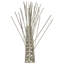 Craman Stainless Steel Bird/Pigeon Spikes