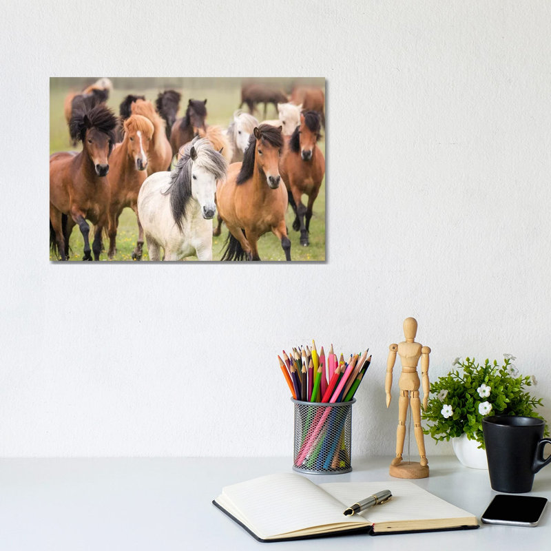 Grassland Horses III by PHBurchett - Wrapped Canvas Print, 20.32 cm H x 30.48 cm W