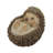 Hedgehog On Back Statue