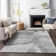 Premium Machine Washable Prisco Gray Rug