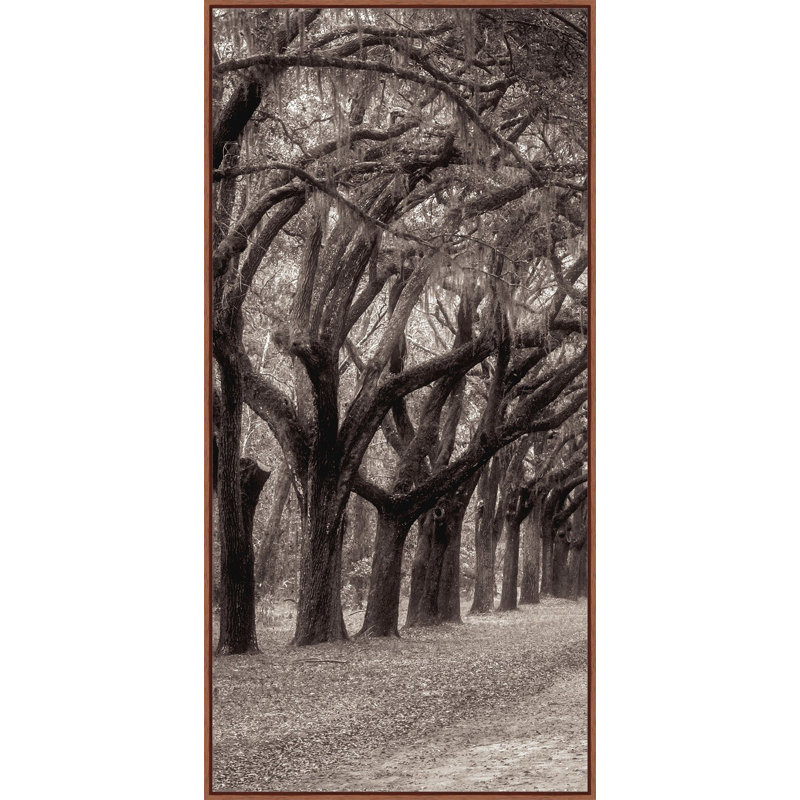 Nature's Arch Triptych A