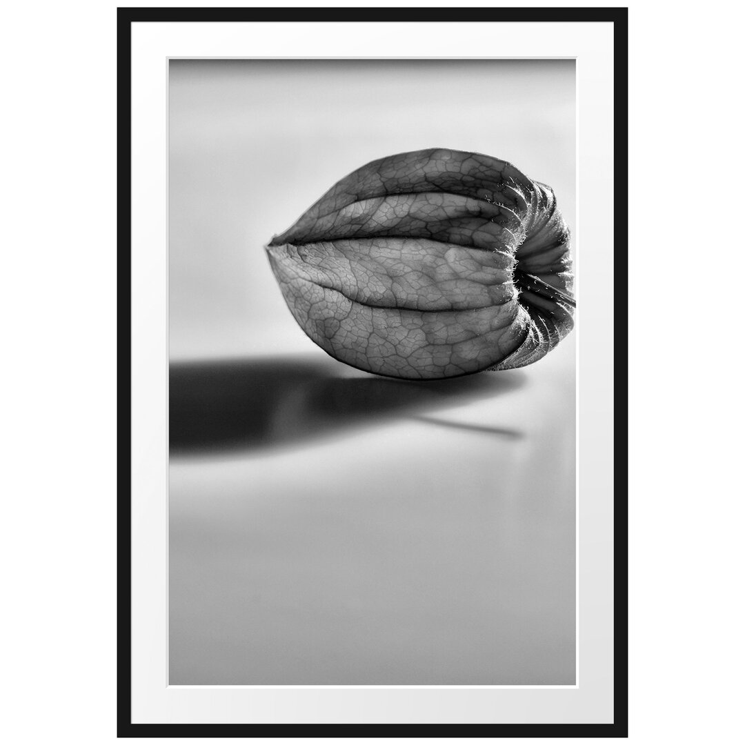 Kleine Physalis Gerahmter Fotodruck Poster