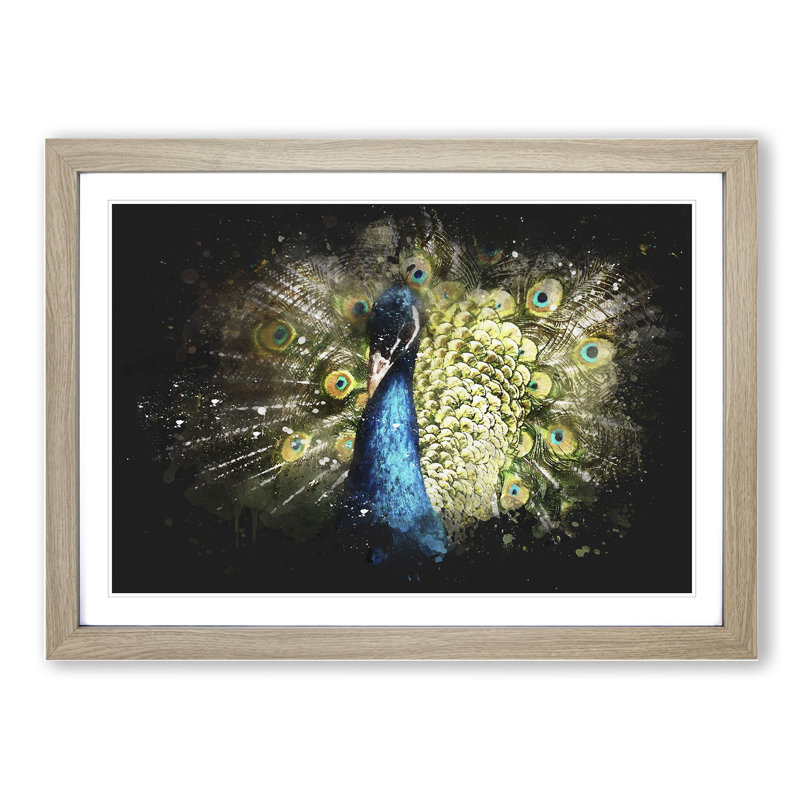 Peacock Vol.2 - Picture Frame Graphic Art, Oak Framed, 36cm H x 48cm W x 2cm D