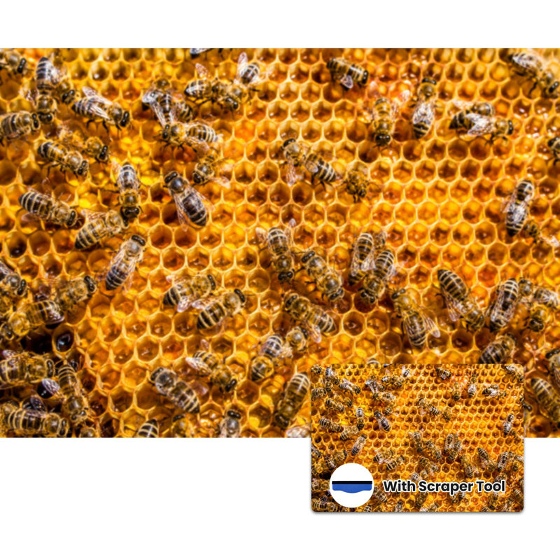 Papier peint adhésif auto-adhésif moderne pour la chambre à coucher avec des abeilles