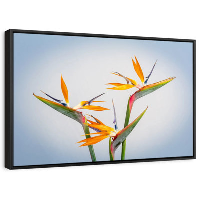 Impression sur toile jaune Strelitzia jaune