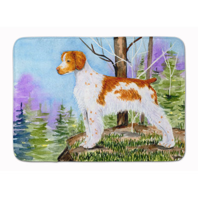 Eva Memory Foam Non-Slip Bath Rug