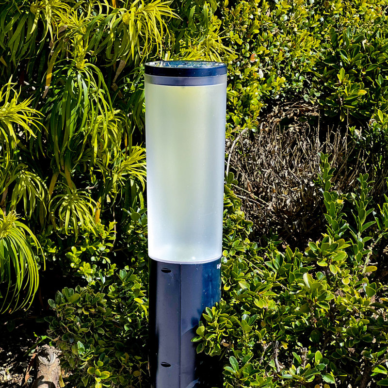 Black Solar LED Pathway Light with Dusk to Dawn Sensor