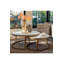 Tables gigognes Whitebone
