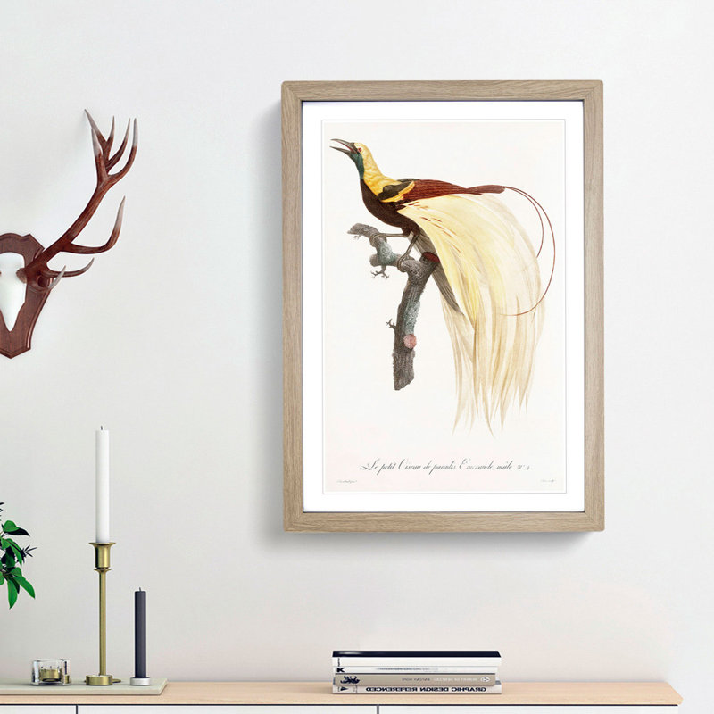 An Emperor Bird Of Paradise by Jacques Barraband - Single Picture Frame Painting, 45cm H x 33cm W x 2cm D, Oak Framed