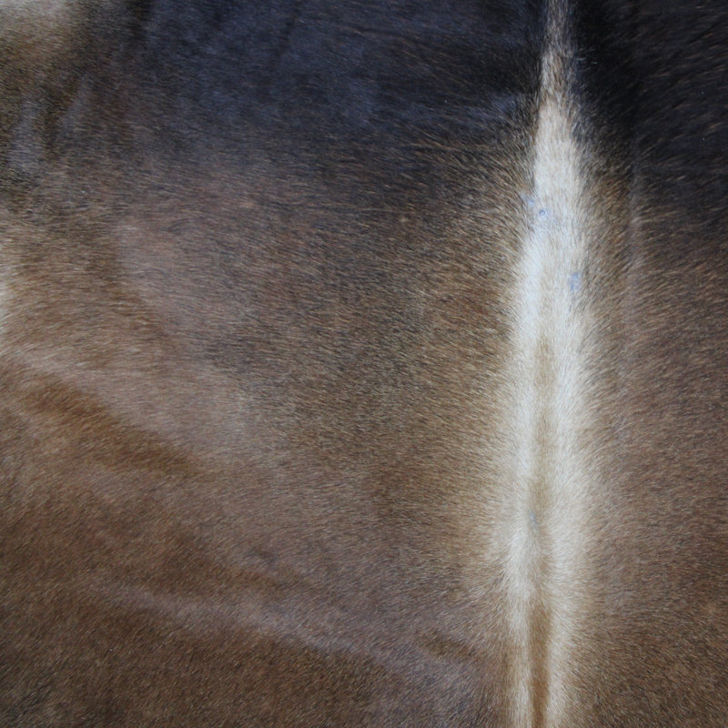 Cowhide Rug Tan Grey
