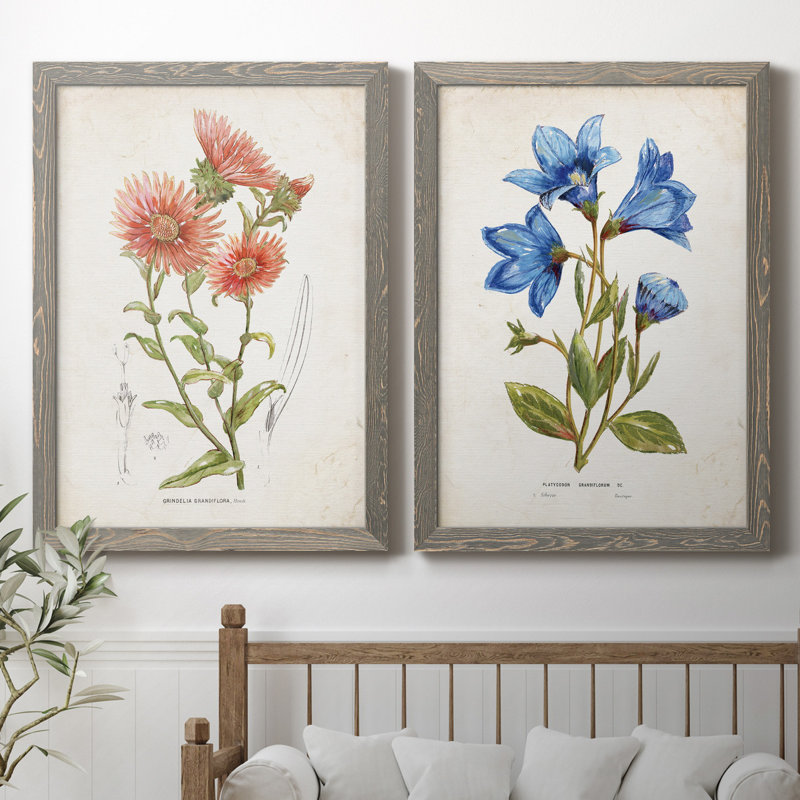 «Botanical I», ensemble de 2 reproductions d'art, Pas de tapis, H 31,5 po x l 47 po x P 1,5 po, Toile avec cadre gris