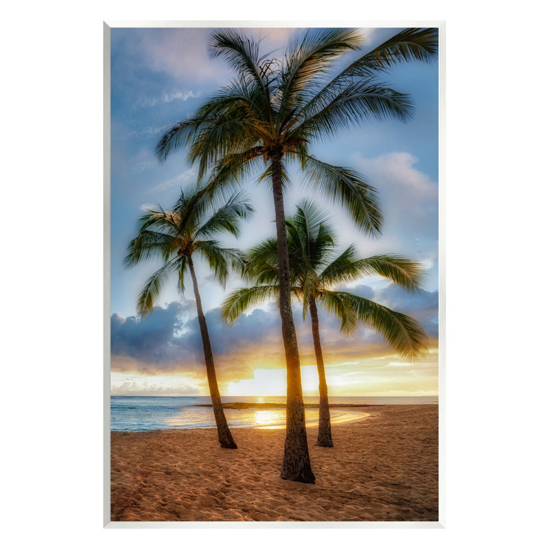 Au-534-Giclée, palmiers, plage tropicale, par Dennis Frates, photographie, L 11 po x H 14 po x P 1,5 po