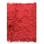 Tapis rouge Orpheus