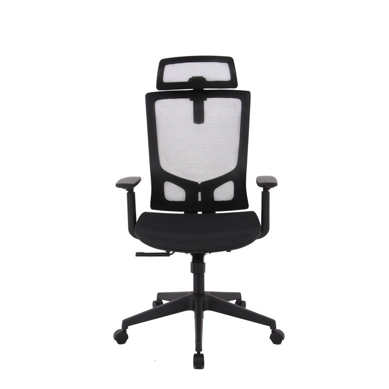 Amayrany Task Chair with Headrest