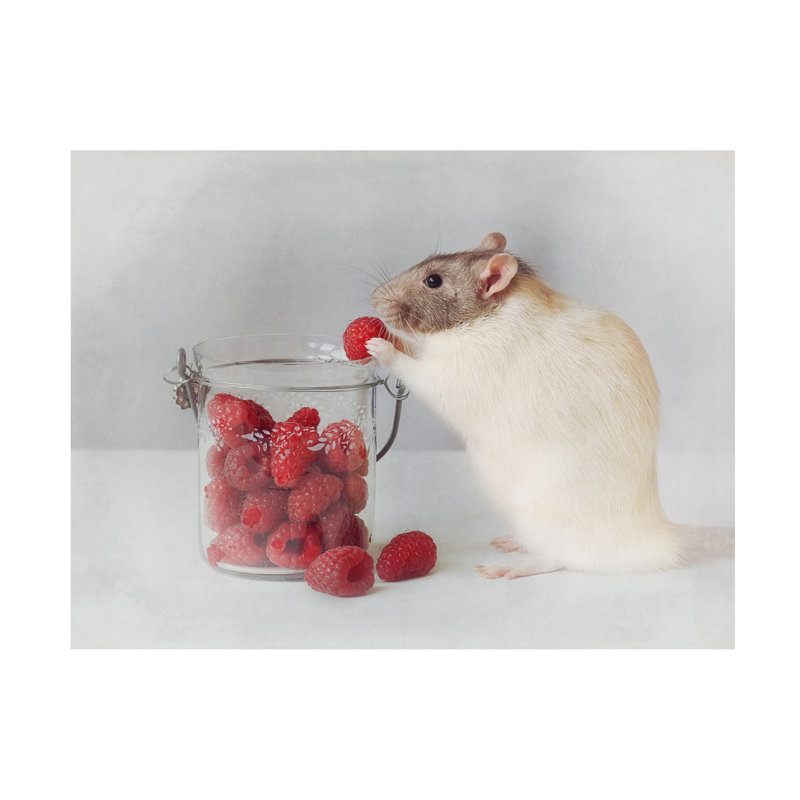 Ellen Van Deelen Always Eat Healthy Canvas Art, 24" H x 32" W