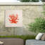 Corail bolologien sur toile-98096624