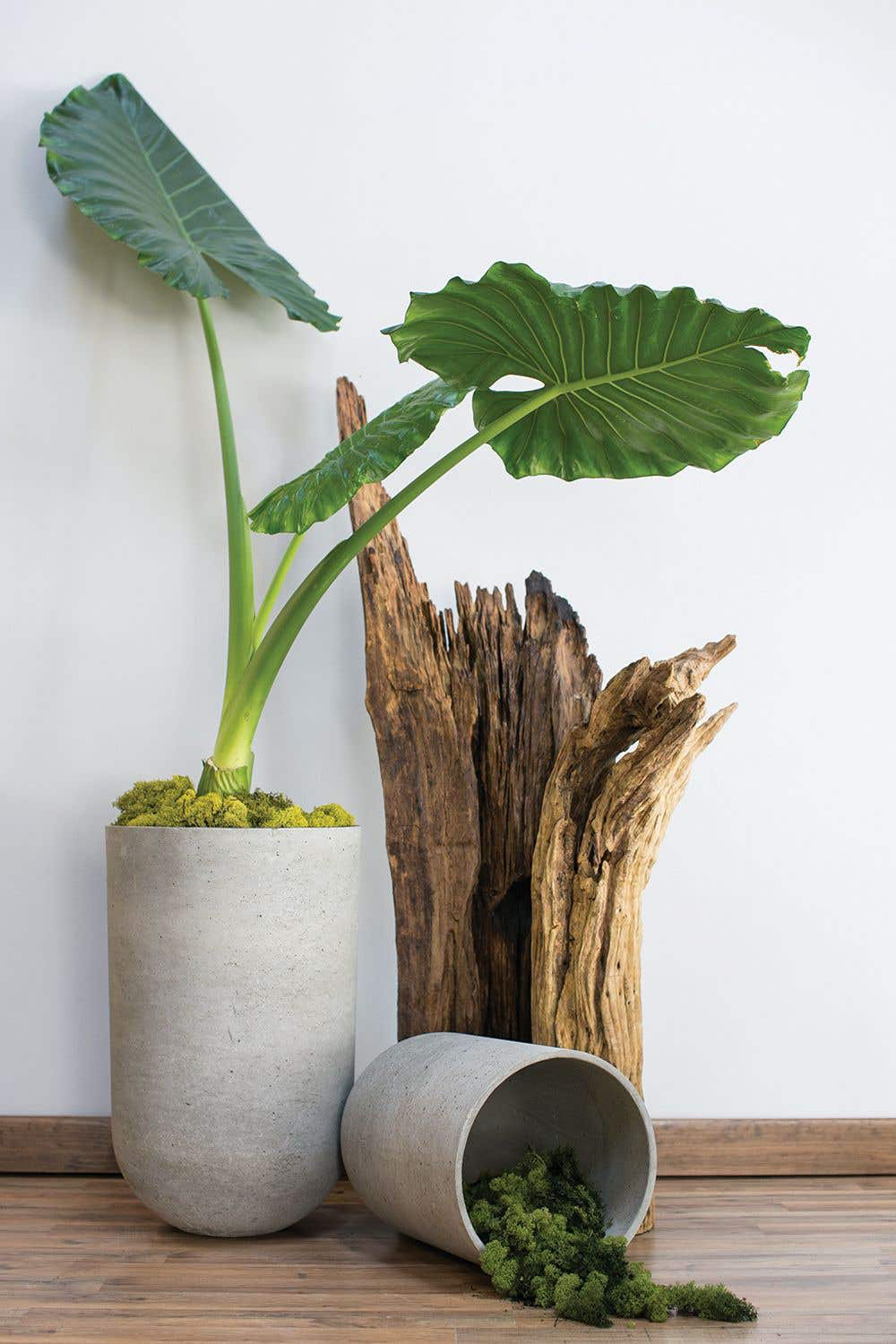 Georgy 17" Handmade Pot Planter, 20" H x 13.75" W x 13.75" D