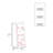 Bookcase With Three Shelf-1564042070