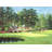 The 11th at Augusta - White Dogwood