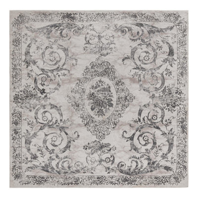 Senter Oriental Indoor Rug