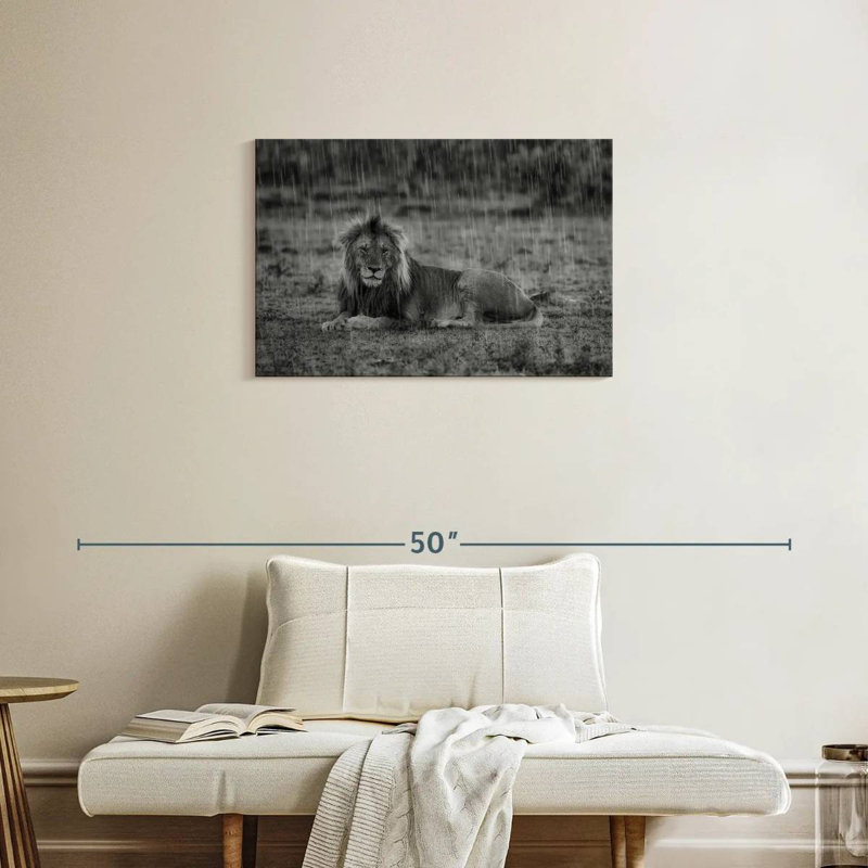 Corbeau lion safari Crowle, H 20 po x l 30 po